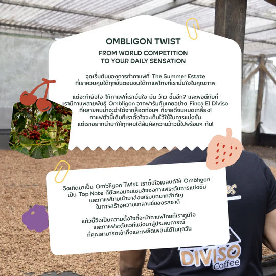 Ombligon Twist (Cherry / strawberry / raspberry candy / Grape) 200g