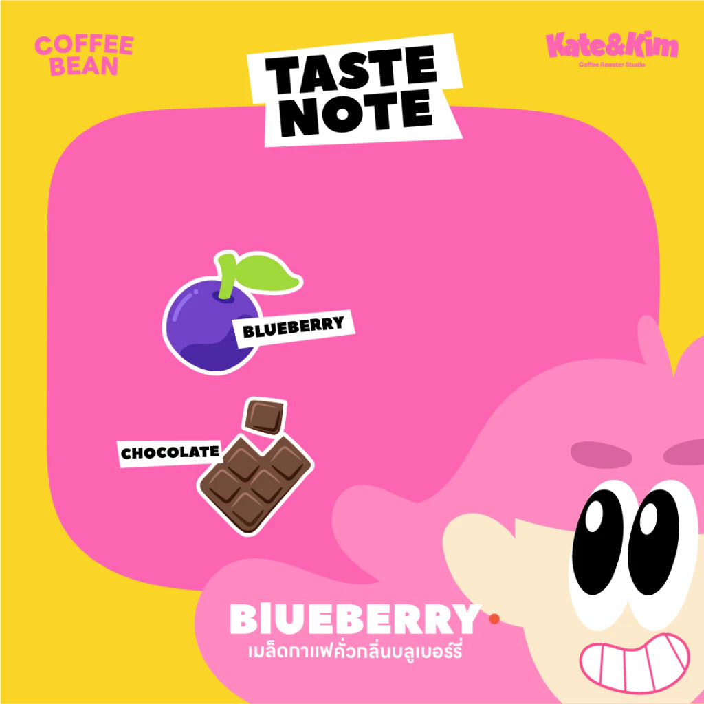 Blueberry 🫐 Milk Shake (infused) 250g